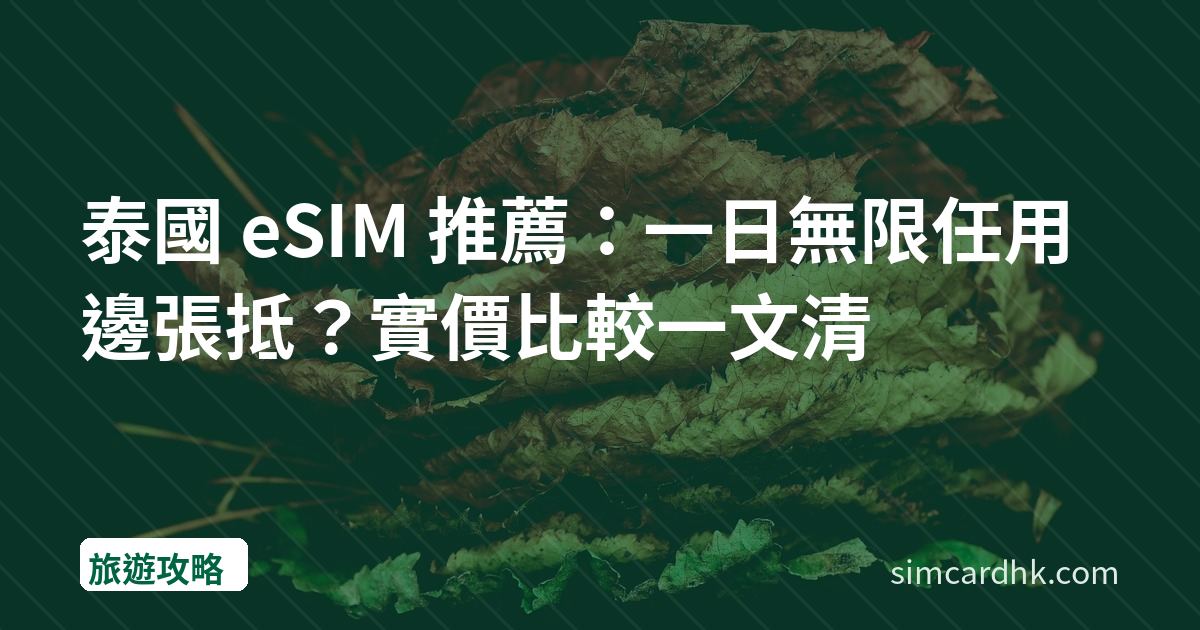 泰國 eSIM 推薦：一日無限任用邊張抵？實價比較一文清