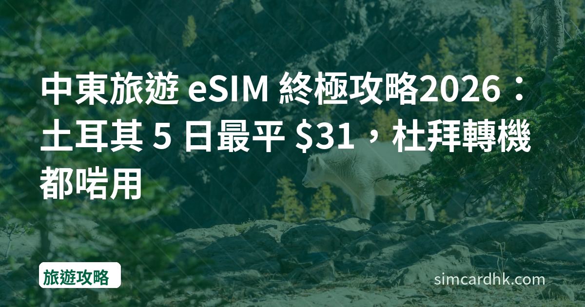 中東旅遊 eSIM 終極攻略2026：土耳其 5 日最平 $31，杜拜轉機都啱用